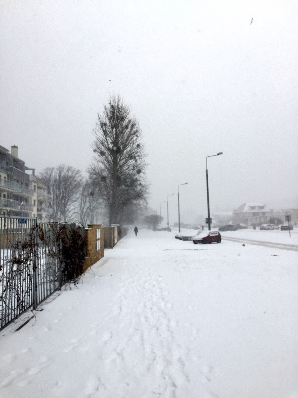 Polonia - Gdańsk - 
