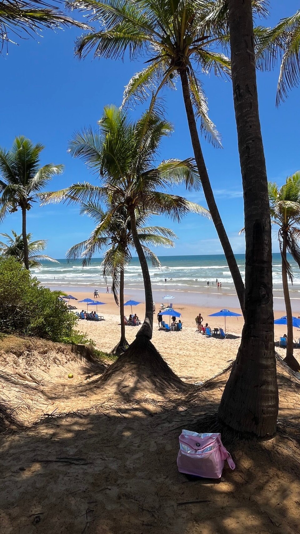 Brasilien - Salvador - Blick auf den Strand von der Promenade