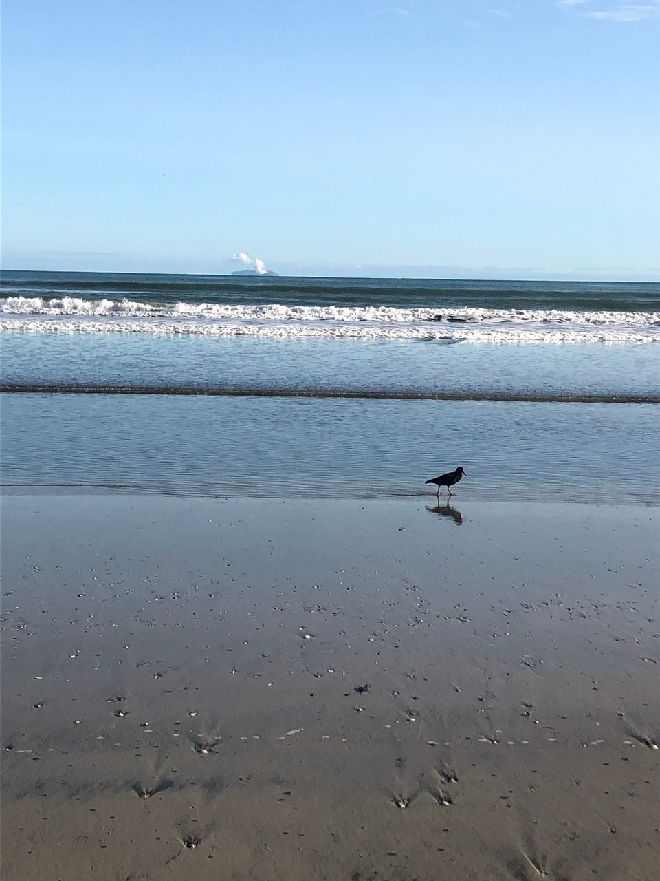 Neuseeland - Ohope - Guten Morgen