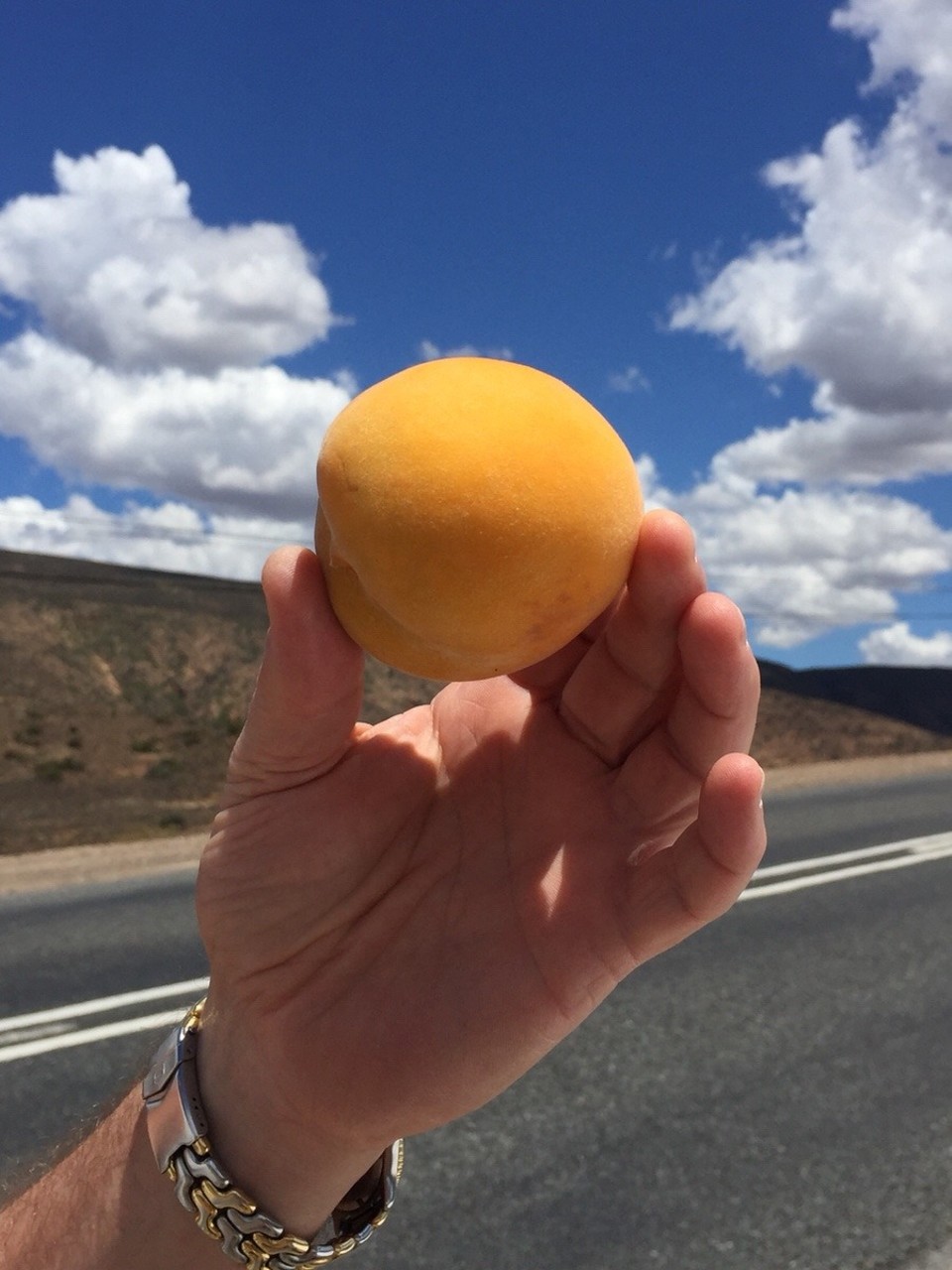 Südafrika - Oudtshoorn - Was für ein Pfirsich Lecker