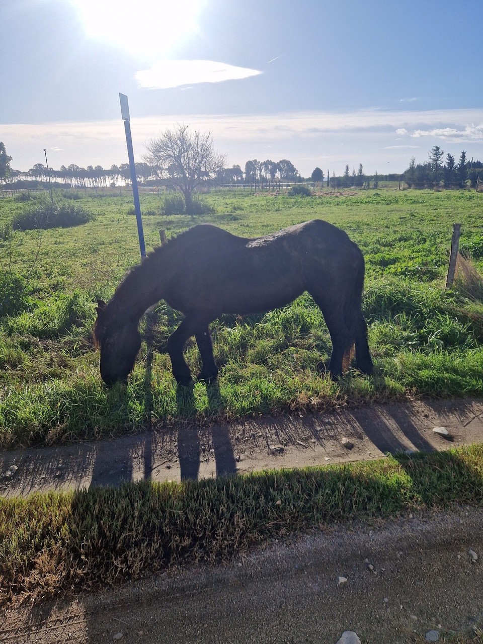 Italien - Senise - 