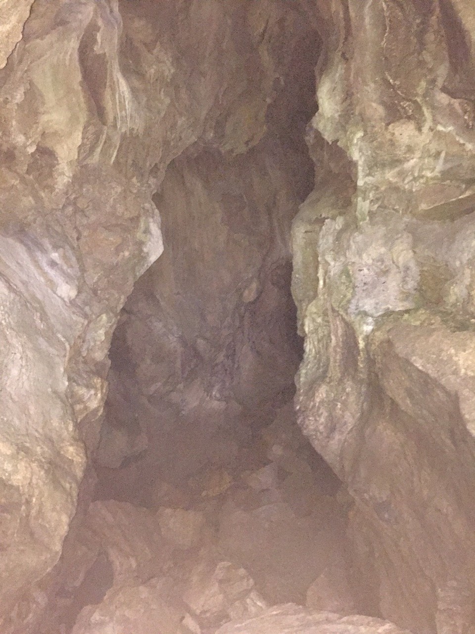  - Neuseeland, Whangarei, Abbey Caves - 
