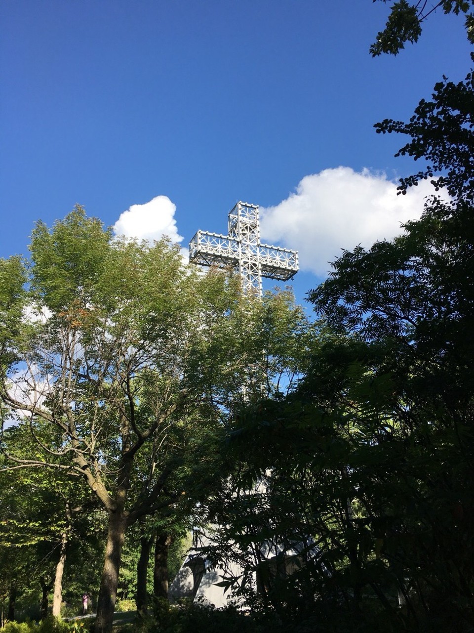 Kanada - Montréal - Im Park Royal auf dem Mont Royal 