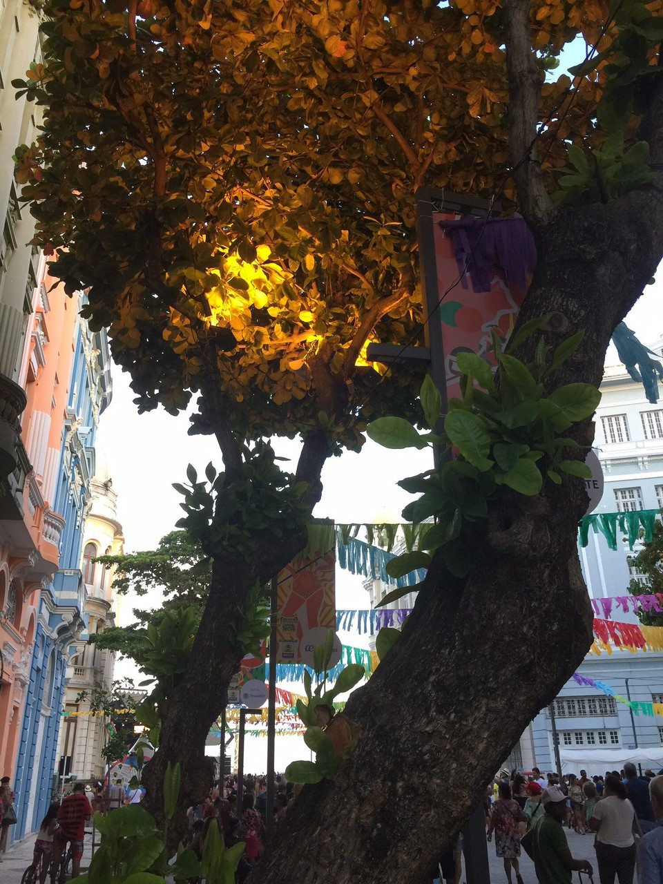 Brasilien - Recife - 
