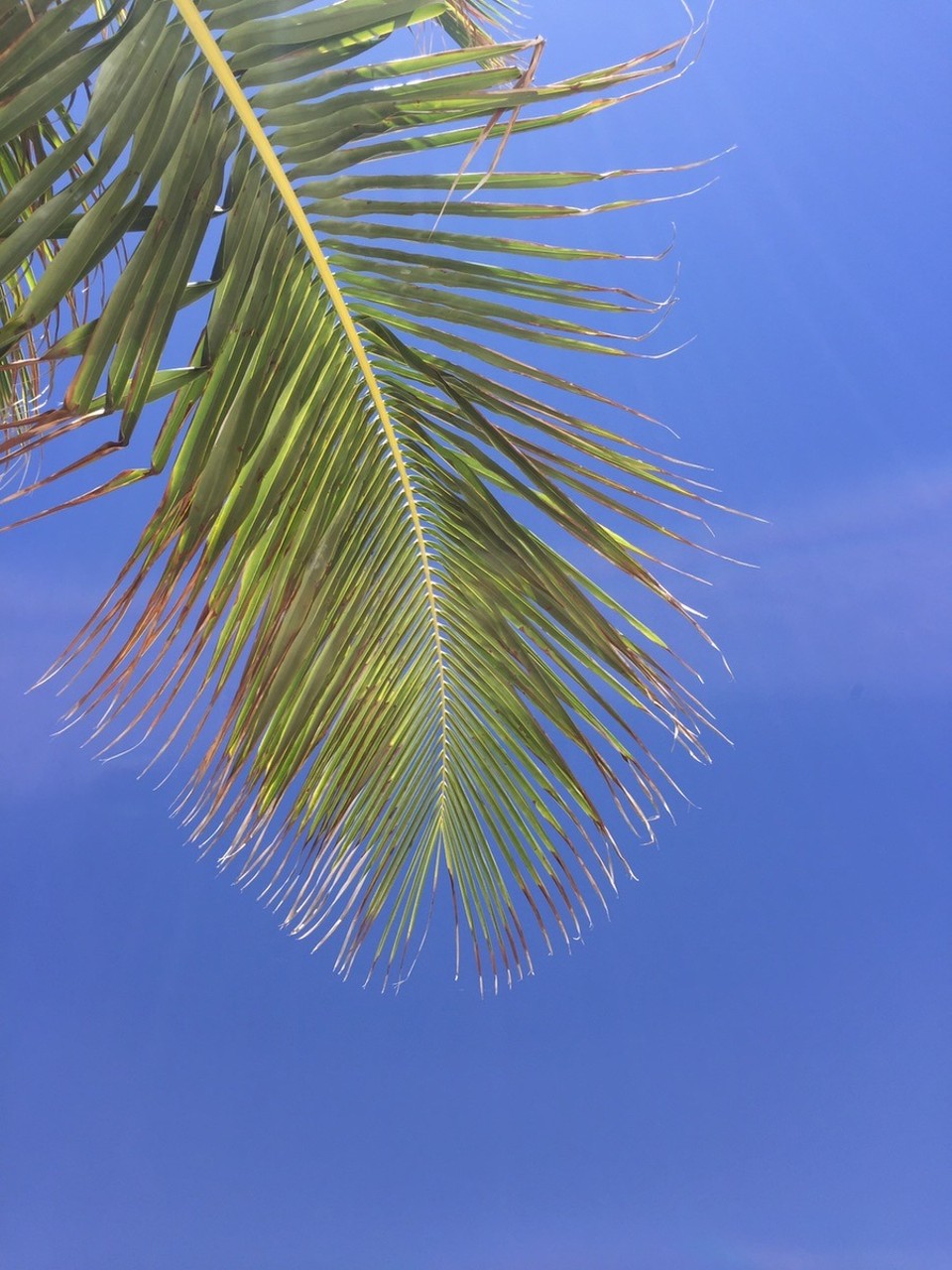 Mexiko - Tulum - 