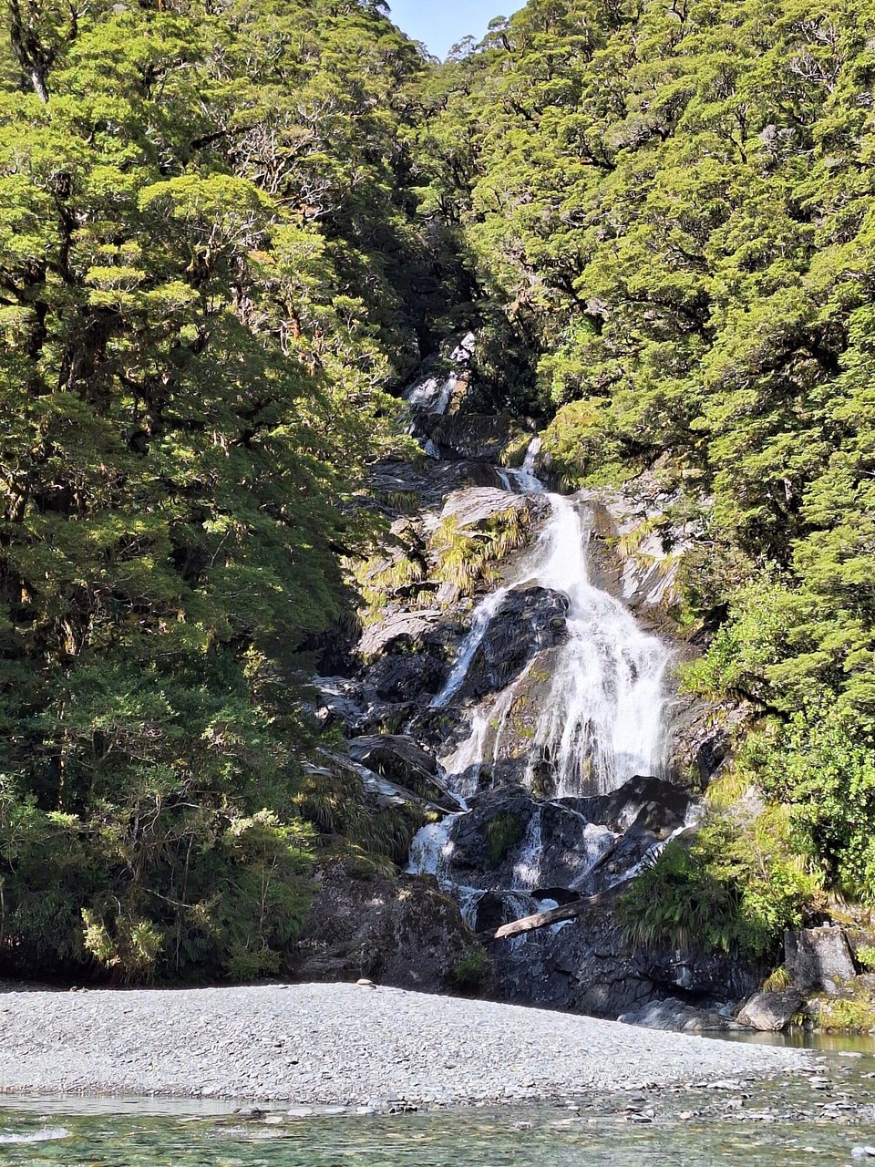 Neuseeland - Jackson Bay - 