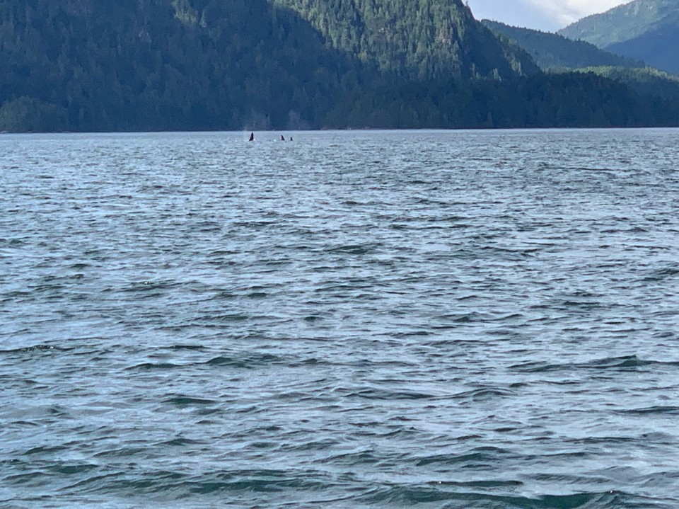 Kanada - Campbell River 11 - 