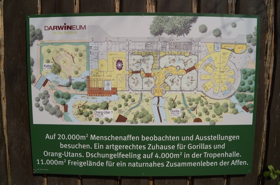 Deutschland - Rostock - Darwineum, viele interessante Räume und Gestaltungen wie es begann.