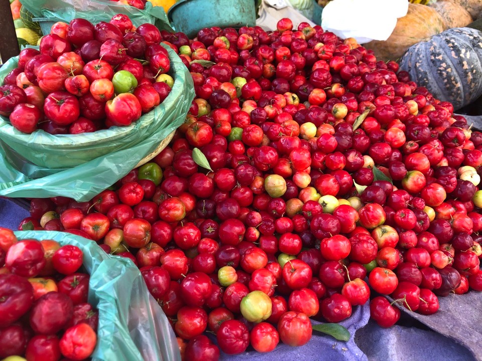 Brasilien - São Félix - Markt in Cachoeiro
