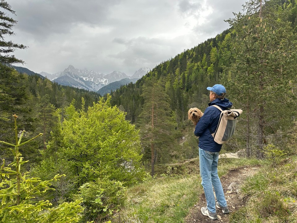 Österreich - Scharnitz - 