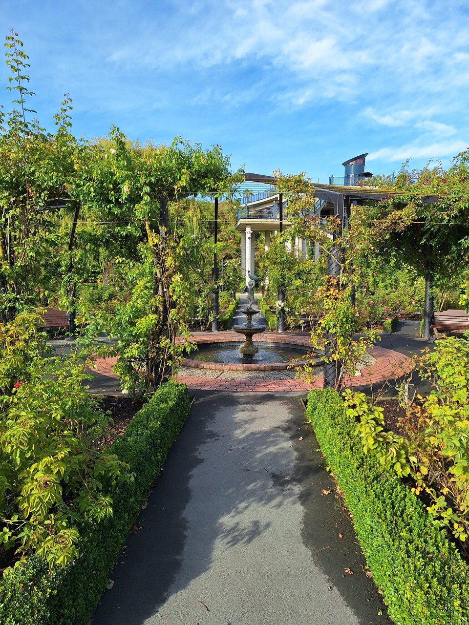 Neuseeland - Timaru - Rosengarten