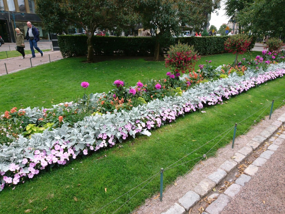 Finnland - Helsinki - (für Oma wegen den schönen Blumen)
Blumenrabatte im Esplanadi Park