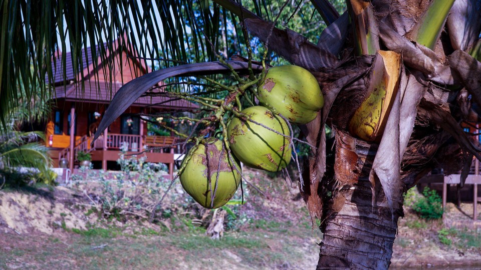 Thailand - Khao Lak - 