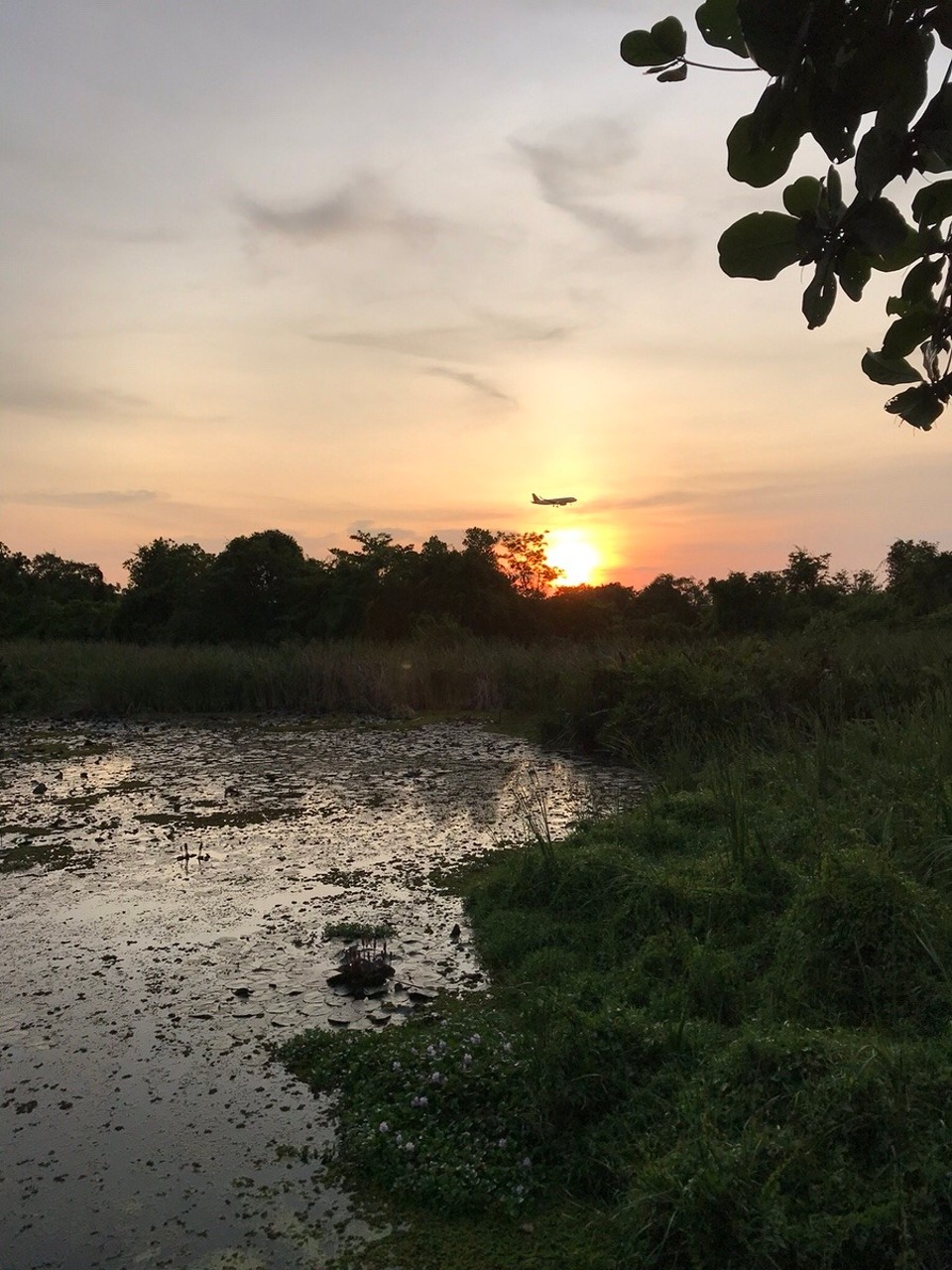 Malaysia - Kedawang - Watching another sunset at the bird sanctuary