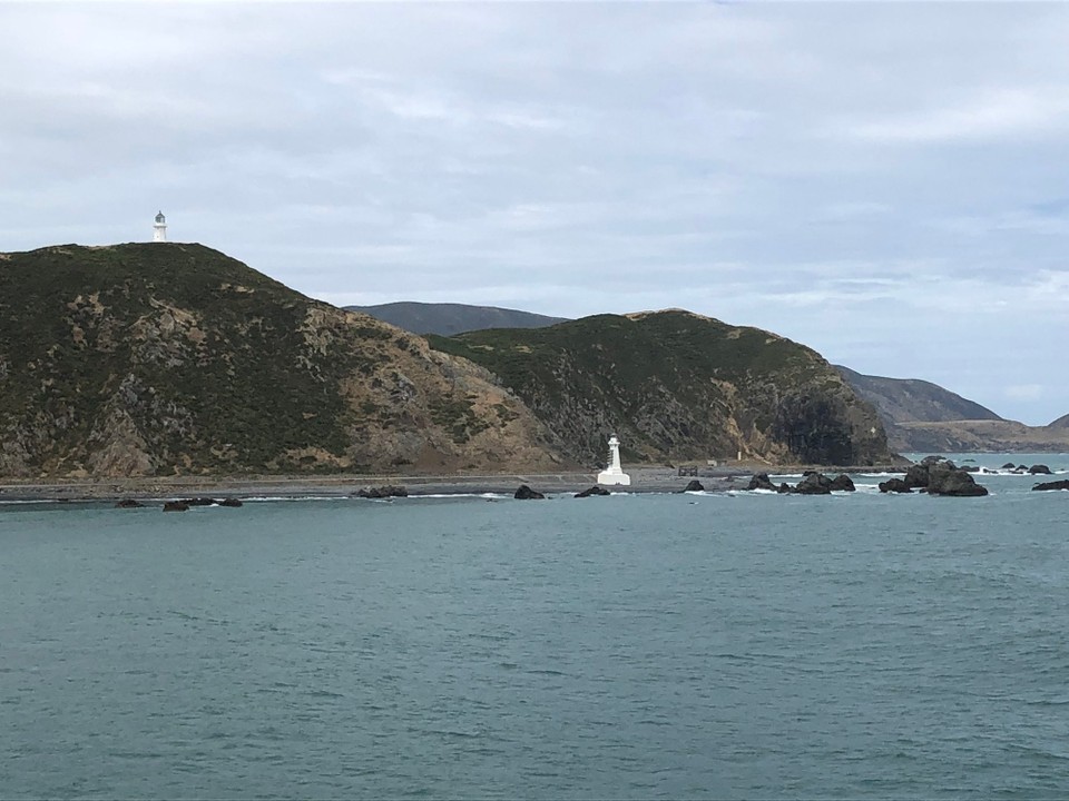 Neuseeland - Martinborough - Erste Eindrücke des Südens der Nordinsel 