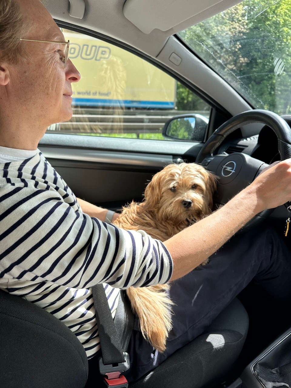 Österreich - Scharnitz - 