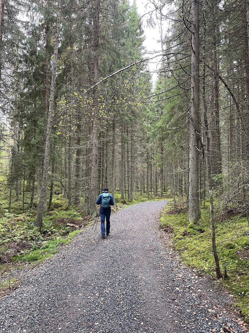 Finnland - Mustajärvi - Highway to hell 