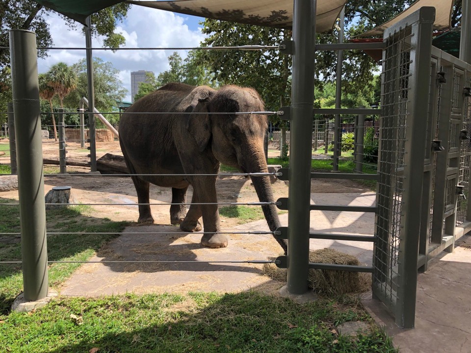 Vereinigte Staaten - Houston - 