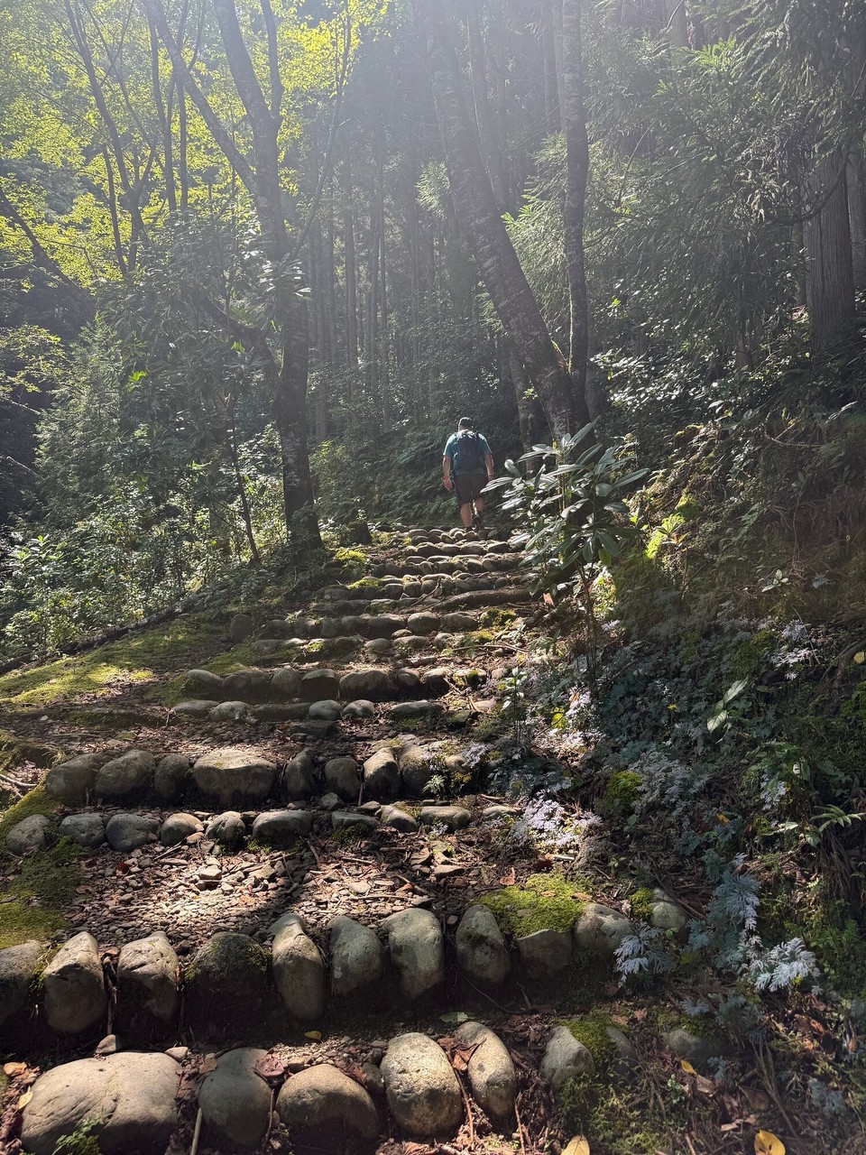 Japan - Shingu - 