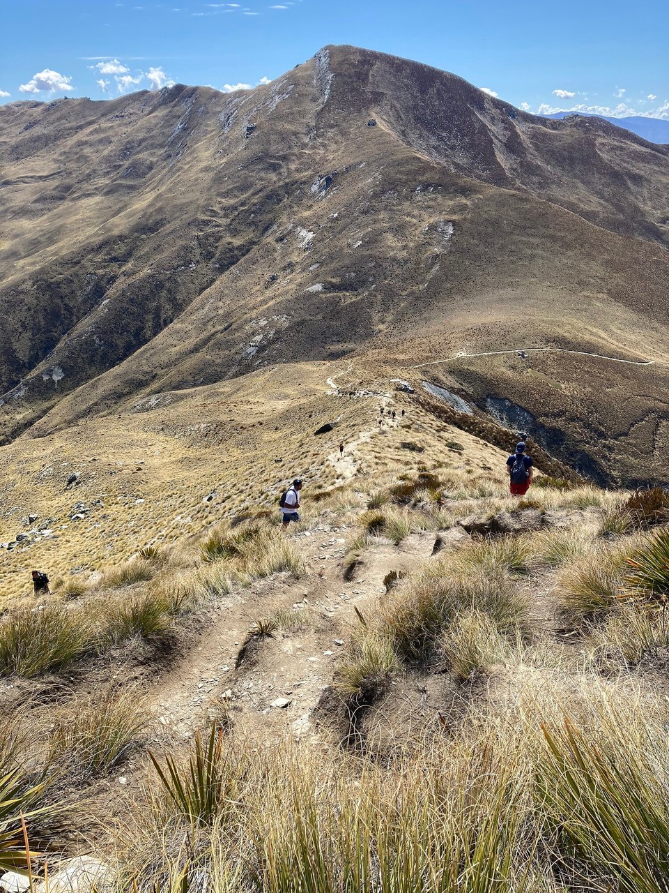 Neuseeland - Queenstown - Ein Glück war ich so früh dran - nach mir kommen Menschenmassen, die aber alle mit der Gondel abgekürzt haben 🫣