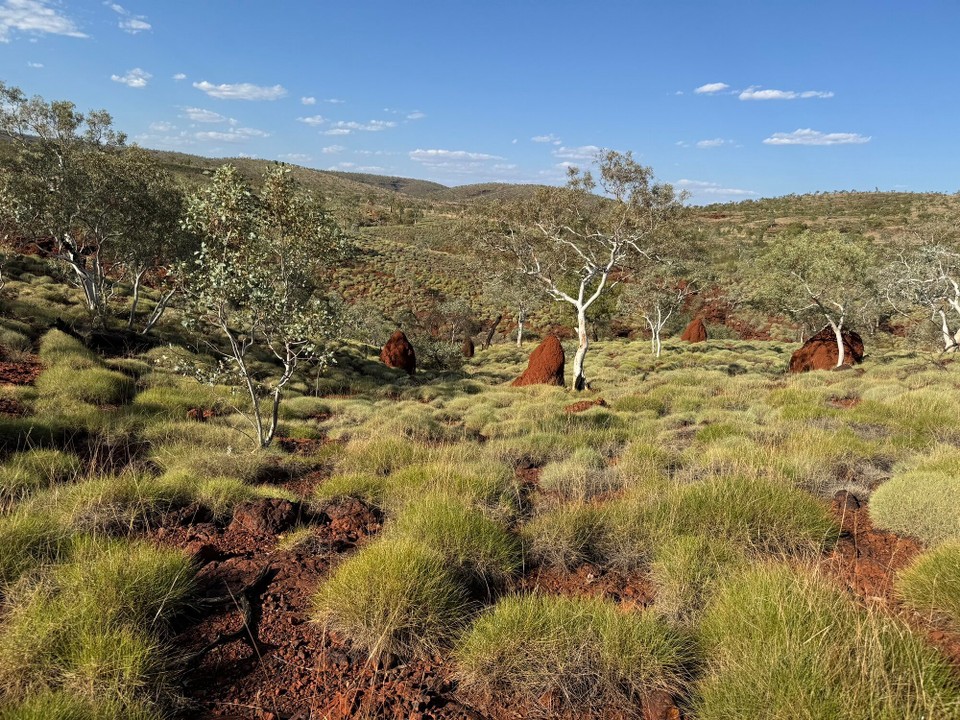 Australien - Karijini - 