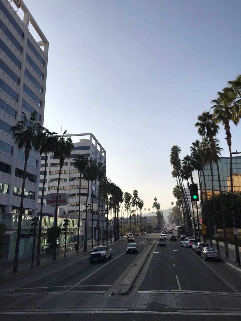 Vereinigte Staaten - Los Angeles - die Palmen, bekannt für Los Angeles