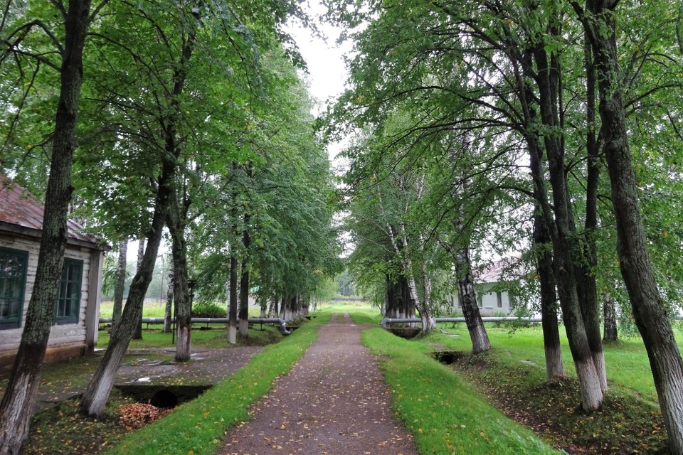 Russia - Perm - In the 1950's the Political Prisoners were allowed trees as a luxury