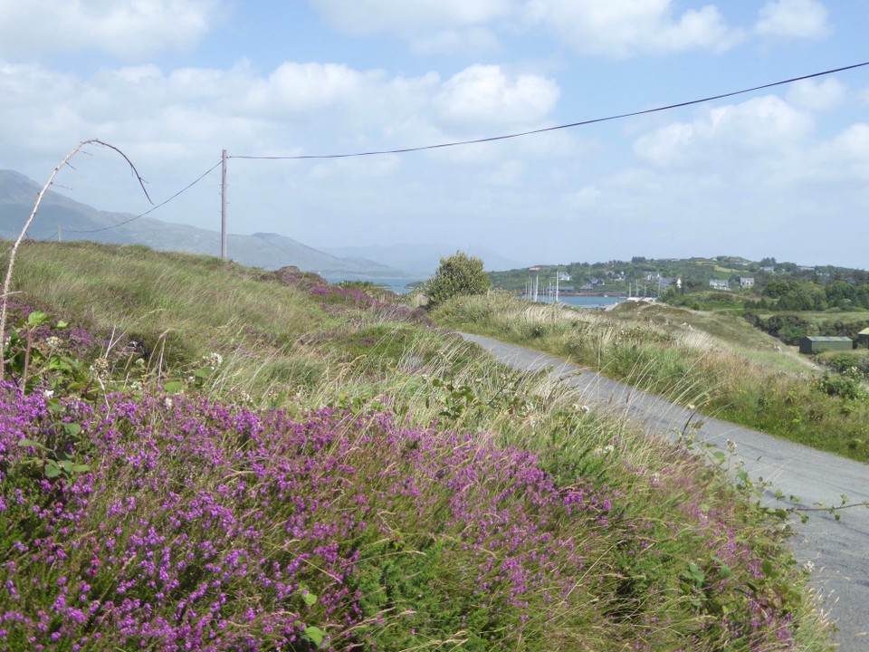 Ireland - Bere Island - 