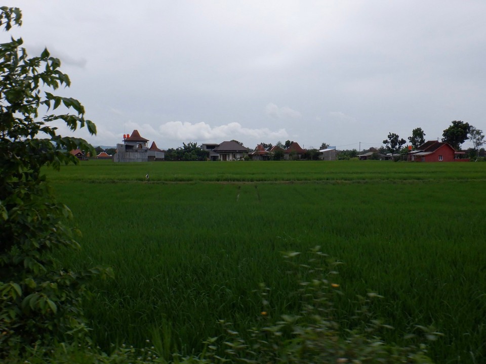 Indonesia - Gondokusuman - 