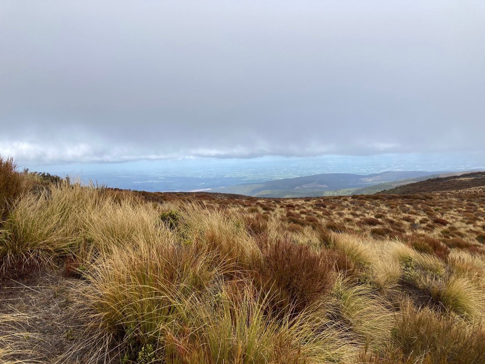Neuseeland - Tapanui - 