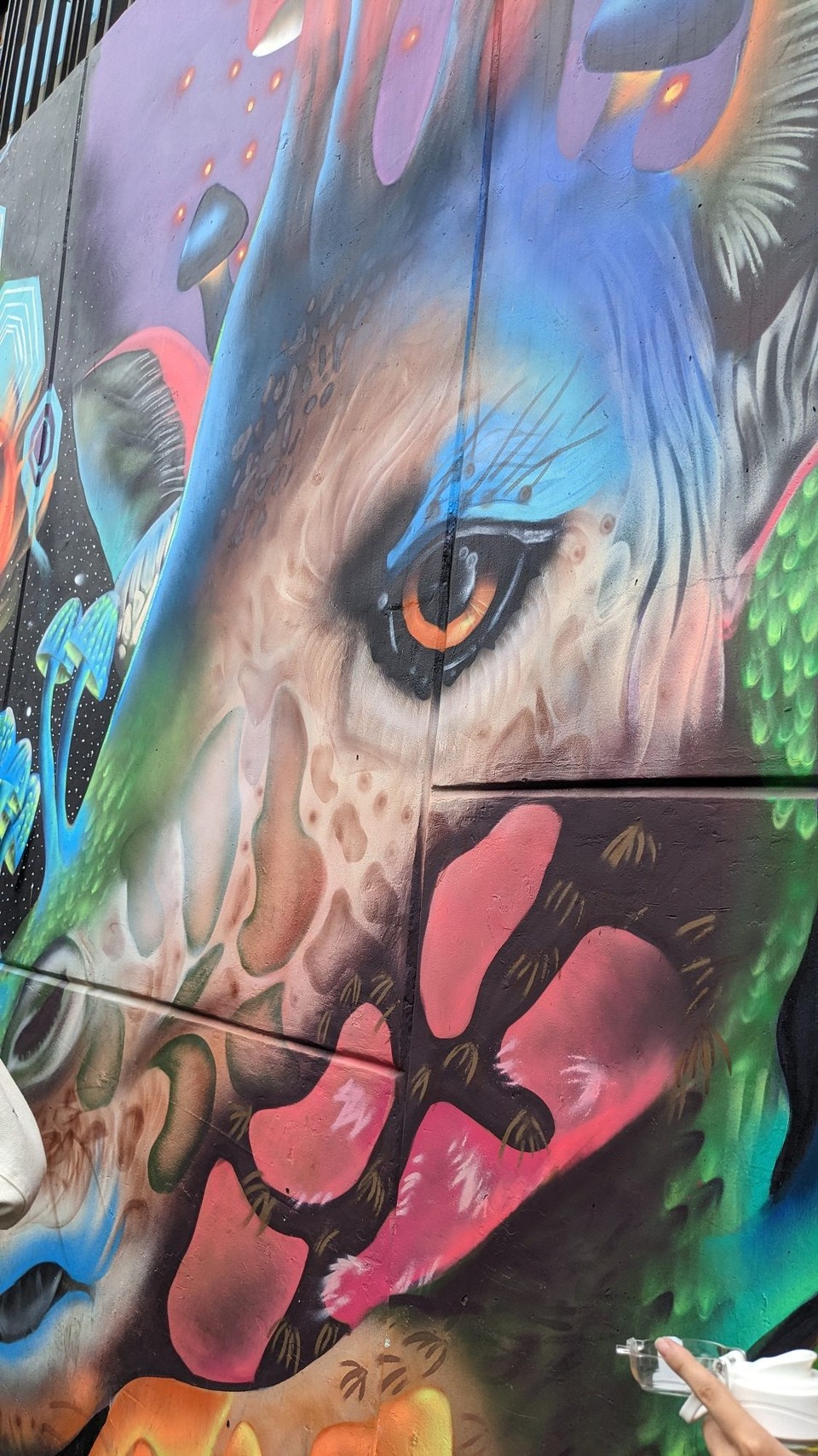Kolumbien - Medellín - 