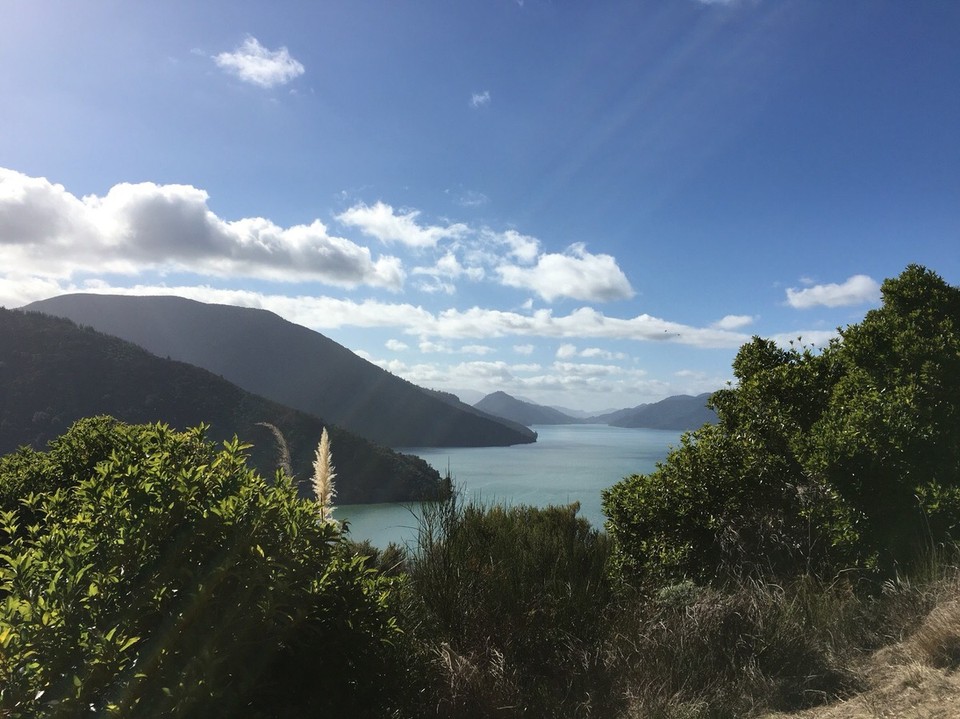 New Zealand - Picton - 