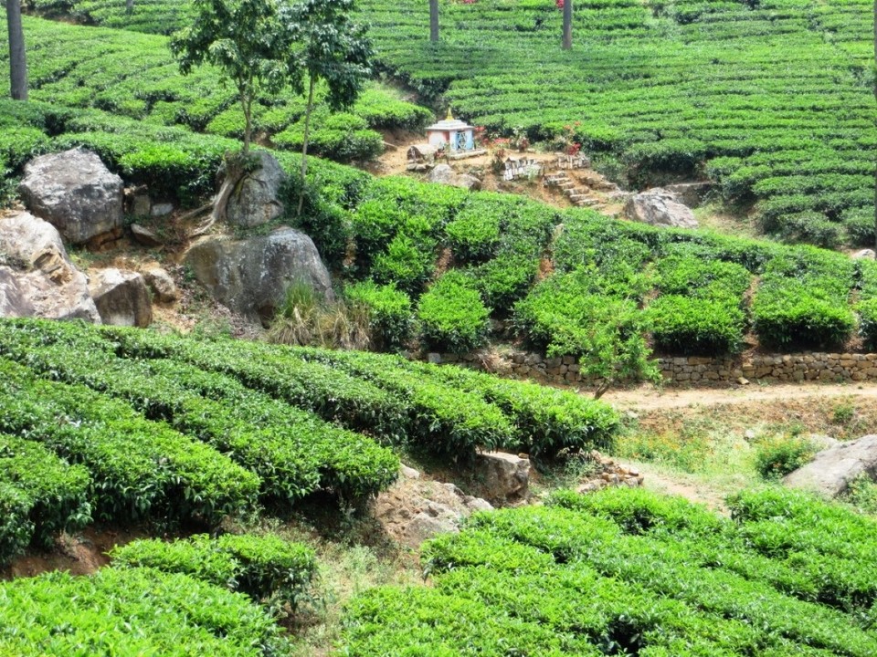 Indien - Coonoor - 