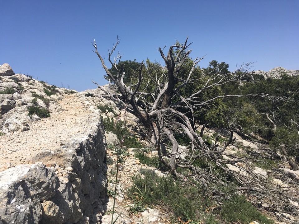 Spanien - Valldemossa - 