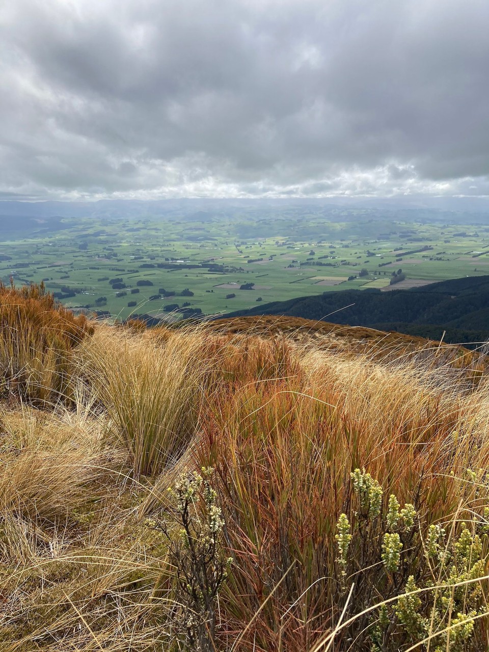 Neuseeland - Tapanui - 
