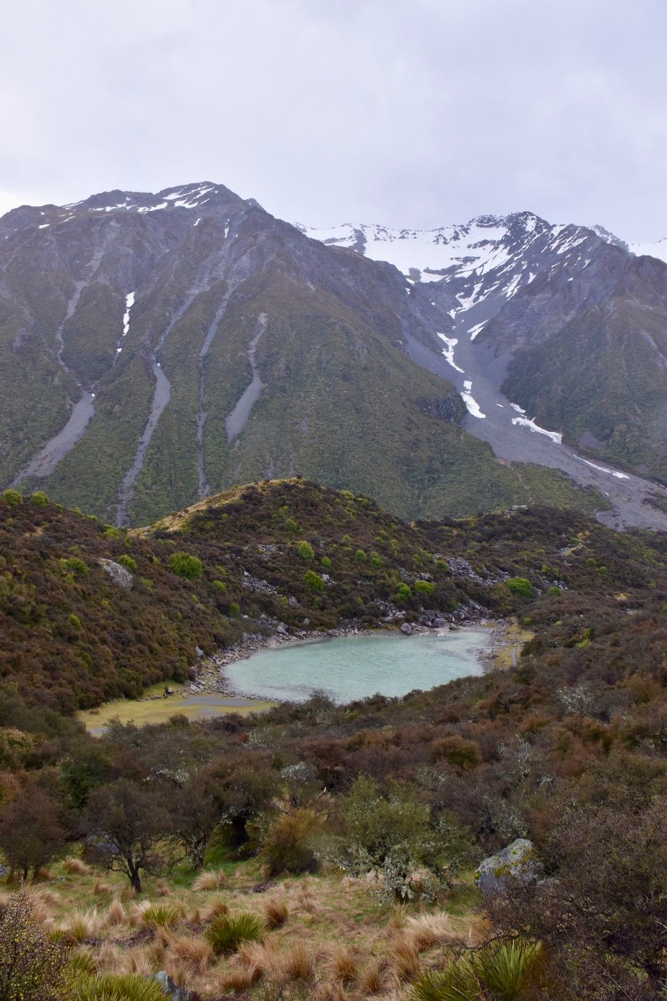 Neuseeland - Twizel - Auf dem Rückweg machten wir einen Stop um unser Glück an einem Gletscher zu versuchen, beim Aufstieg kamen wir an einem grünen See vorbei.
Wo doch die anderen Seen blau sind, die Erklärung ist ganz einfach, dieser See ist vom Regenwasser und nicht vom Gletscher.
