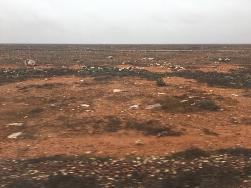 Australien - Rawlinna - Stundenlang das gleiche Bild: Nullarbor Wüste 