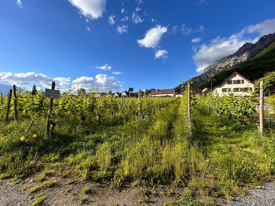Liechtenstein - Vaduz - 