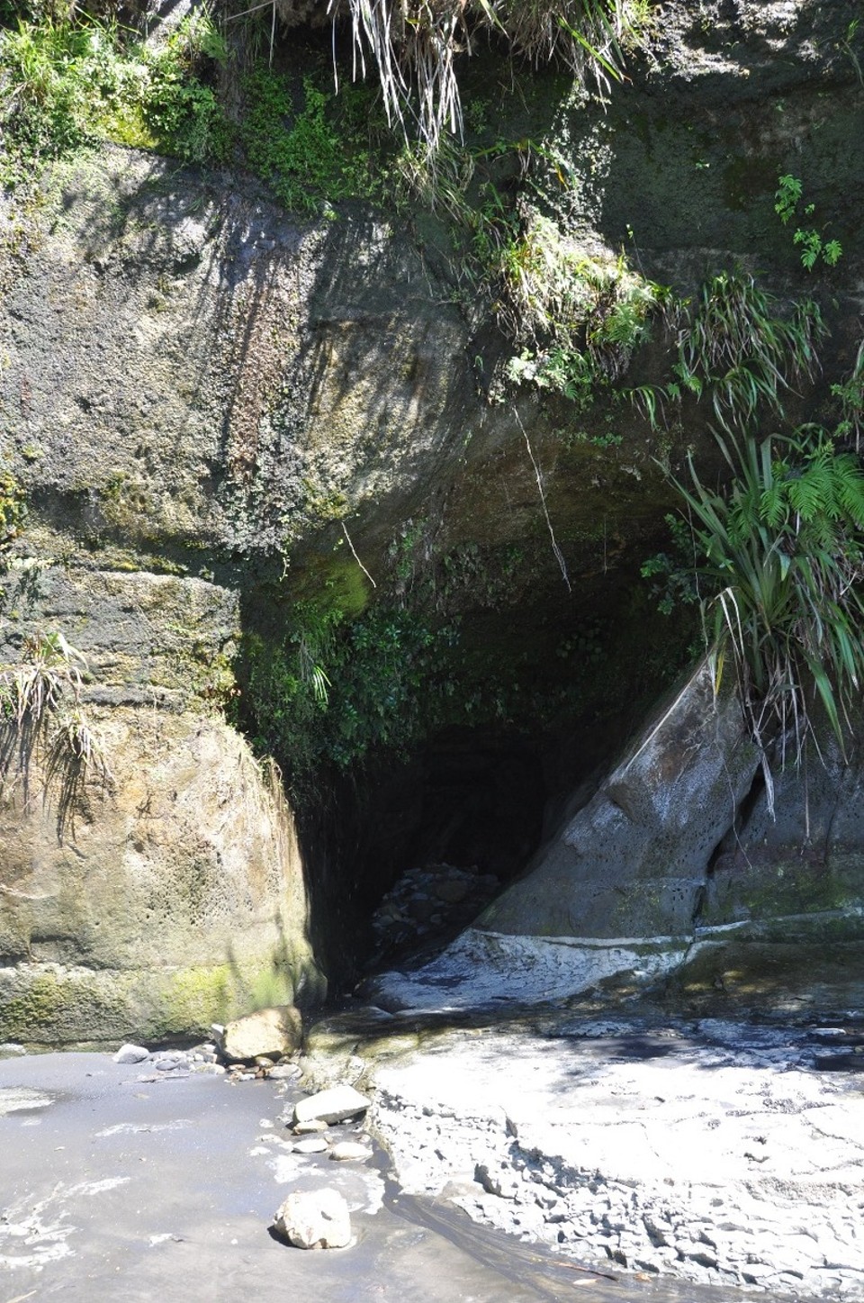 Neuseeland - New Plymouth - 