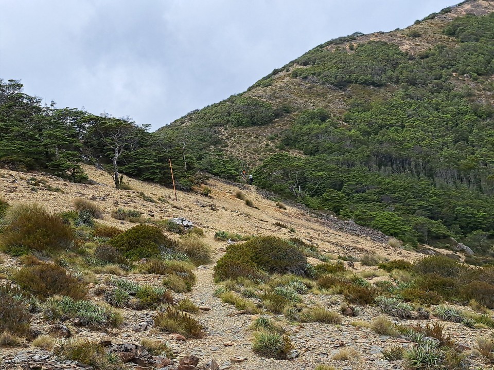Neuseeland - unbekannt - 