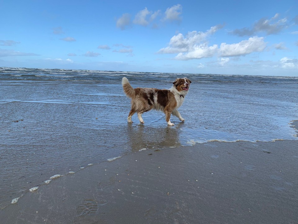 Danmark - Fanø - 