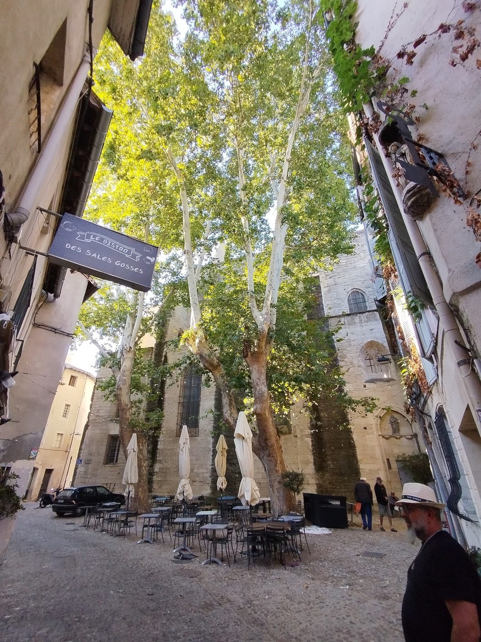 Frankreich - Avignon - 