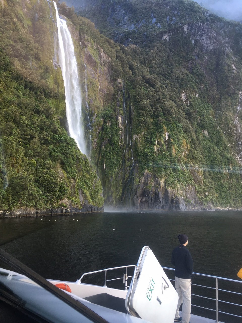 Neuseeland - Milford Sound - Roman vor dem Stirling fall