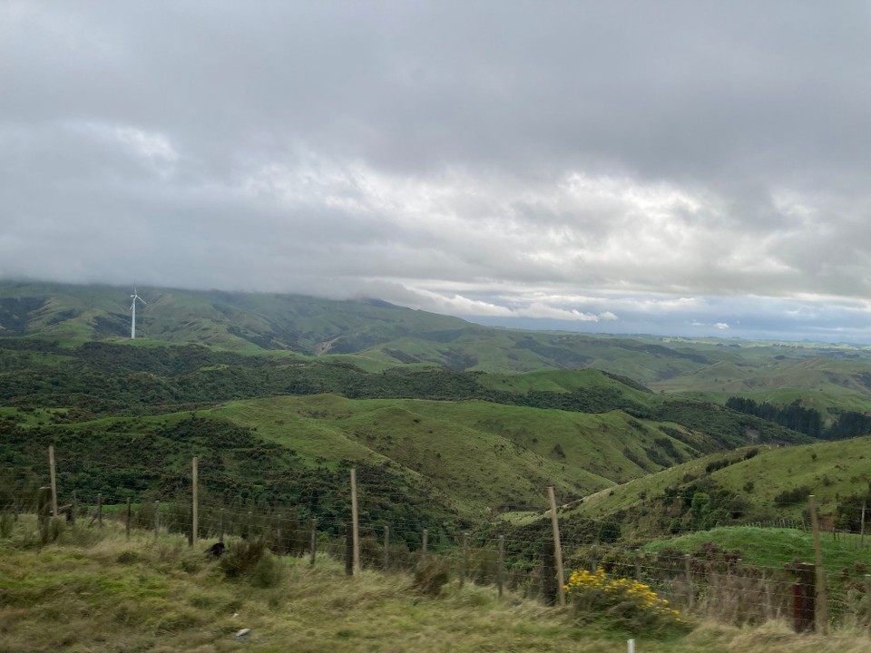 Neuseeland - Palmerston North - 