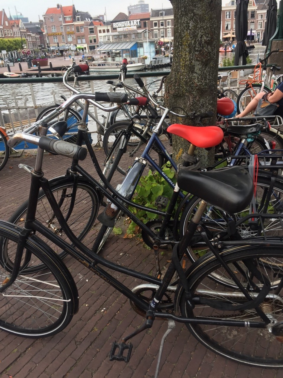 Niederlande - Leiden - Hier in Leiden sieht man vor lauter Fahrräder die Autos nicht mehr....