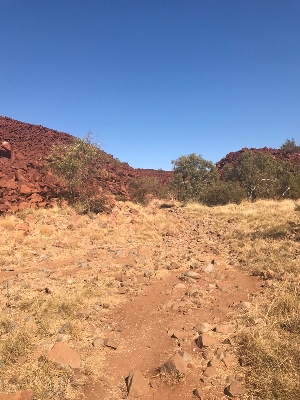  - Australia, Karratha - The start of Deep Gorge where all the rock art is.. apparently 10000 years old!