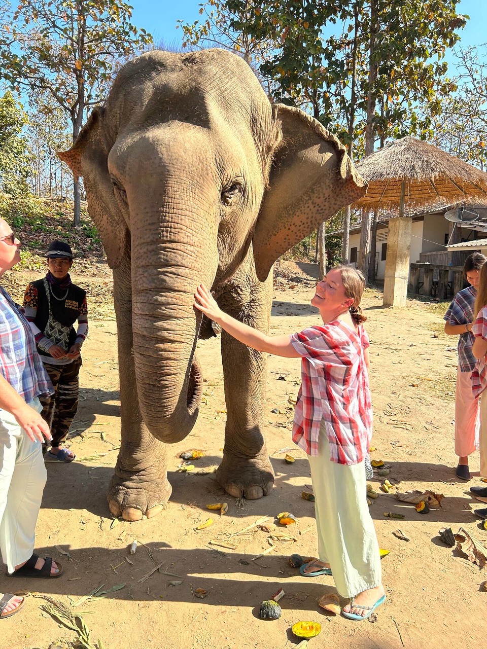 Thailand - Chiang Mai - 