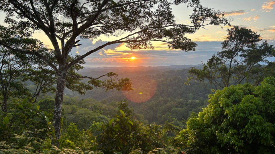 Costa Rica - Nationalpark Corcovado - 