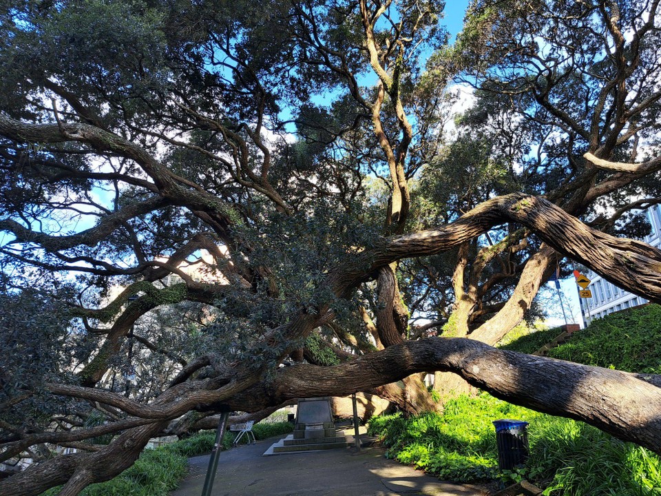 Neuseeland - Auckland - 