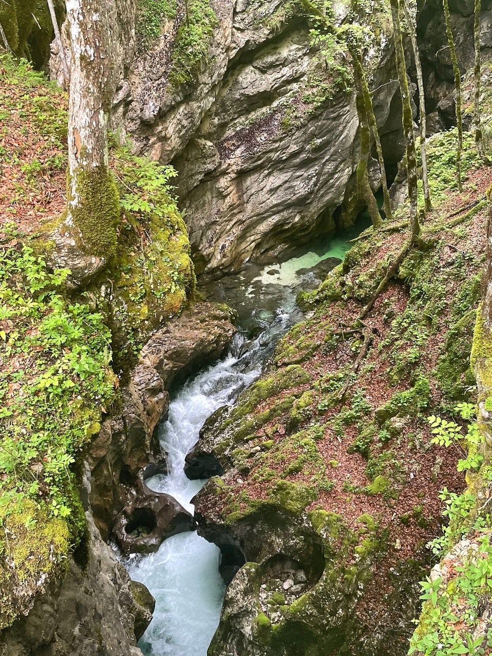 Slowenien - Bohinjsko Jezero - 